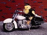 Biker_Chick.jpg image by meshepard