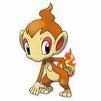 Chimchar.jpg image by bloomstar123